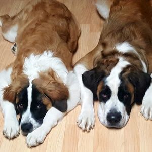 Meet your Posher, Traci